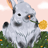 ChloeFlynn_99478