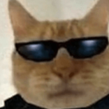13221876