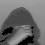 21238065