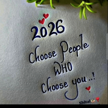 28790116