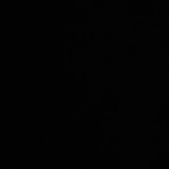 950761068