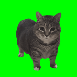 9974b1cff13f05651e163e01ddb7c18c