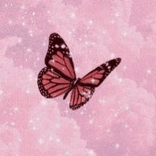 B.utterfly