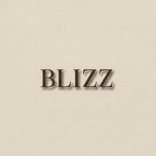 blizzfashion.store