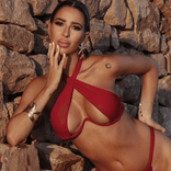fabii_model