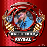 fesalyare4