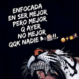 mariajose.vigoya12