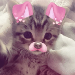 misiannnn
