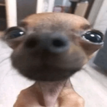 s0divm