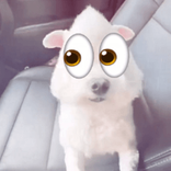 skzblog