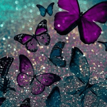 wings__7.7