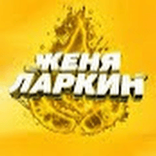 zhenyalarkin8093